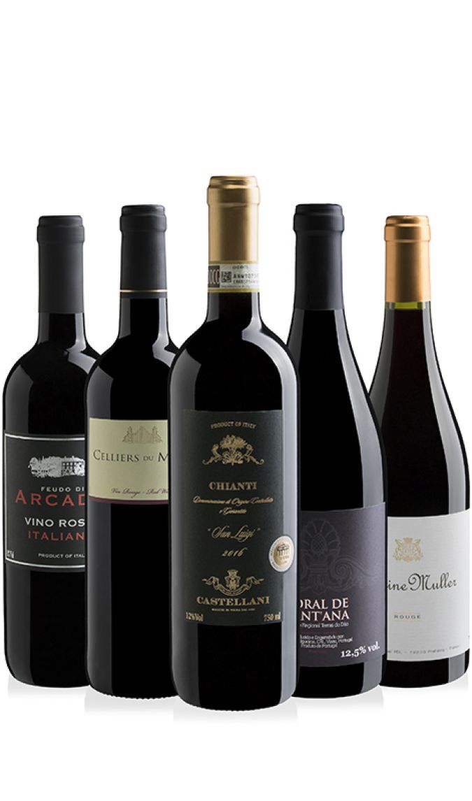 Kit com 5 Garrafas de Vinho Europeu